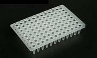 96 Well Non Skirted PCR Plate with Black Writing