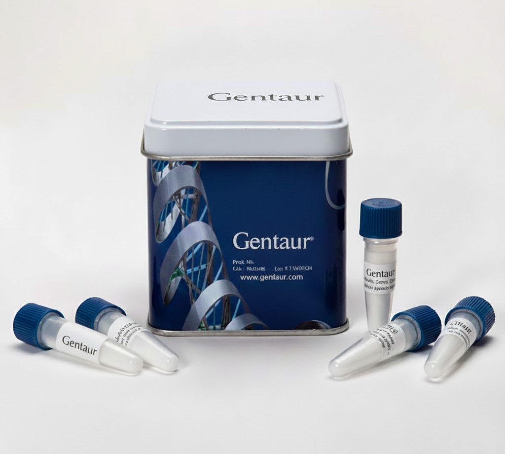 Proteinase K in Storage Buffer (20mg/mL) - 28361