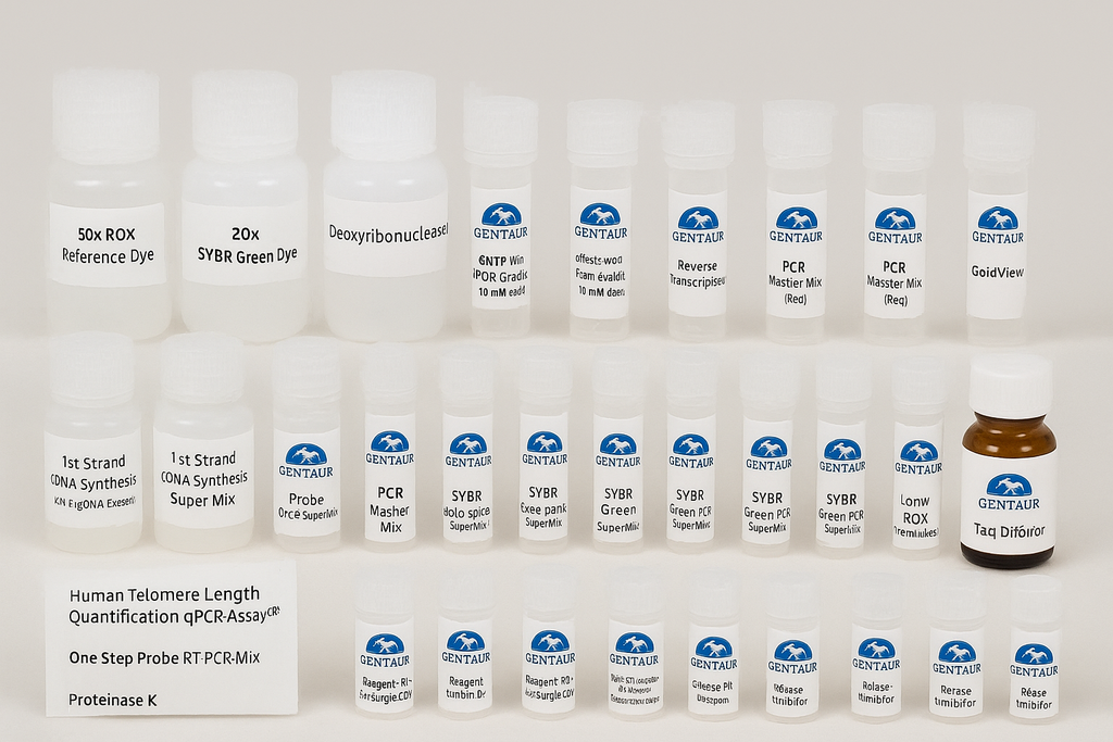 One Step SYBR Green RT-PCR Mix