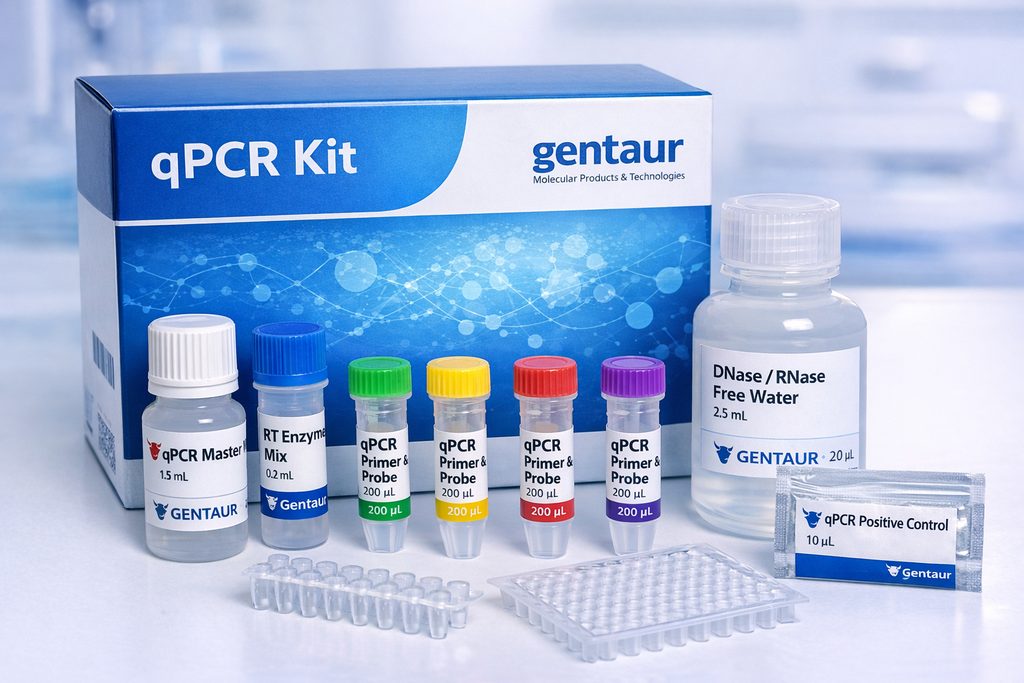 Detect Bacillus Diphtheriae qPCR kit