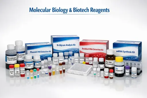 [HBP000340-3] T7 RNA Polymerase (low dsRNA)