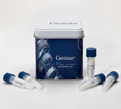 [ks-1480] Proteinase K in Storage Buffer (20mg/mL)