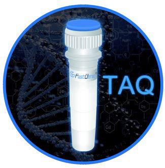 [ks-1504] Taq 2x Ready Mix