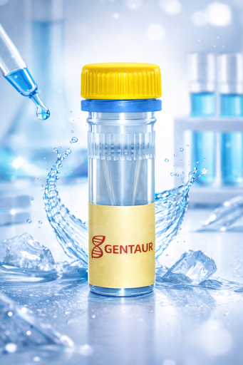 [SK2037] DNase I, RNase-Free