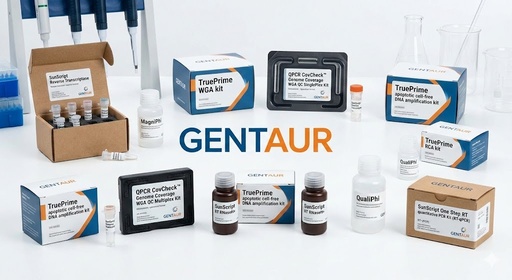 [340005] TruePrime apoptotic cell-free DNA amplification kit